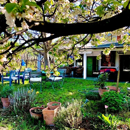 Holiday home Arty House With Huge Terrace At Lake Balaton