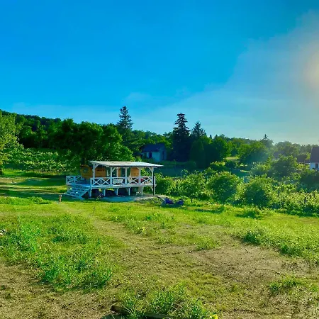 Arty House With Huge Terrace At Lake Balaton Kisapáti